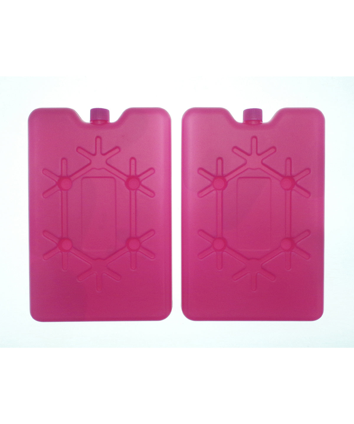 Large freezer blocks (2-pack)