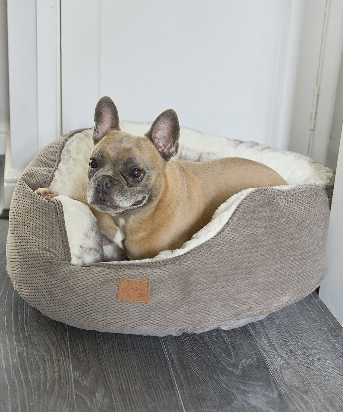 Dog butterfly bed