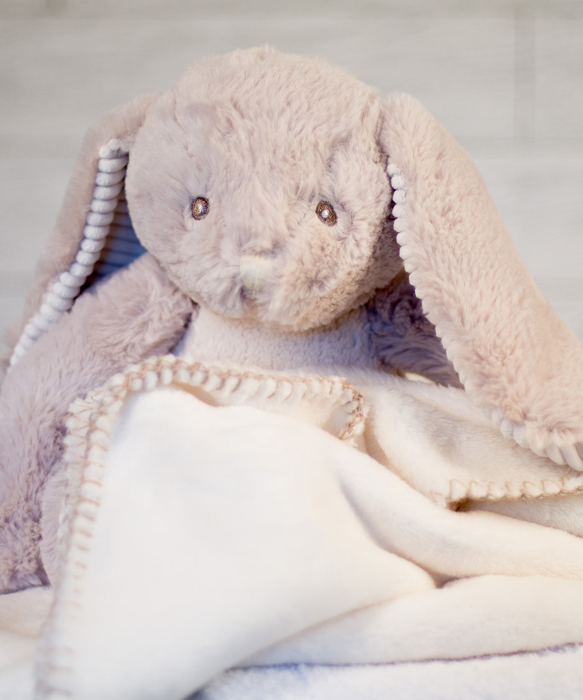 Rabbit and blanket