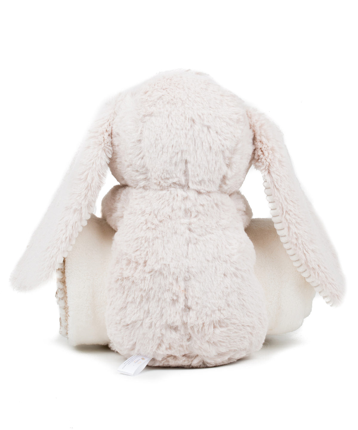 Rabbit and blanket