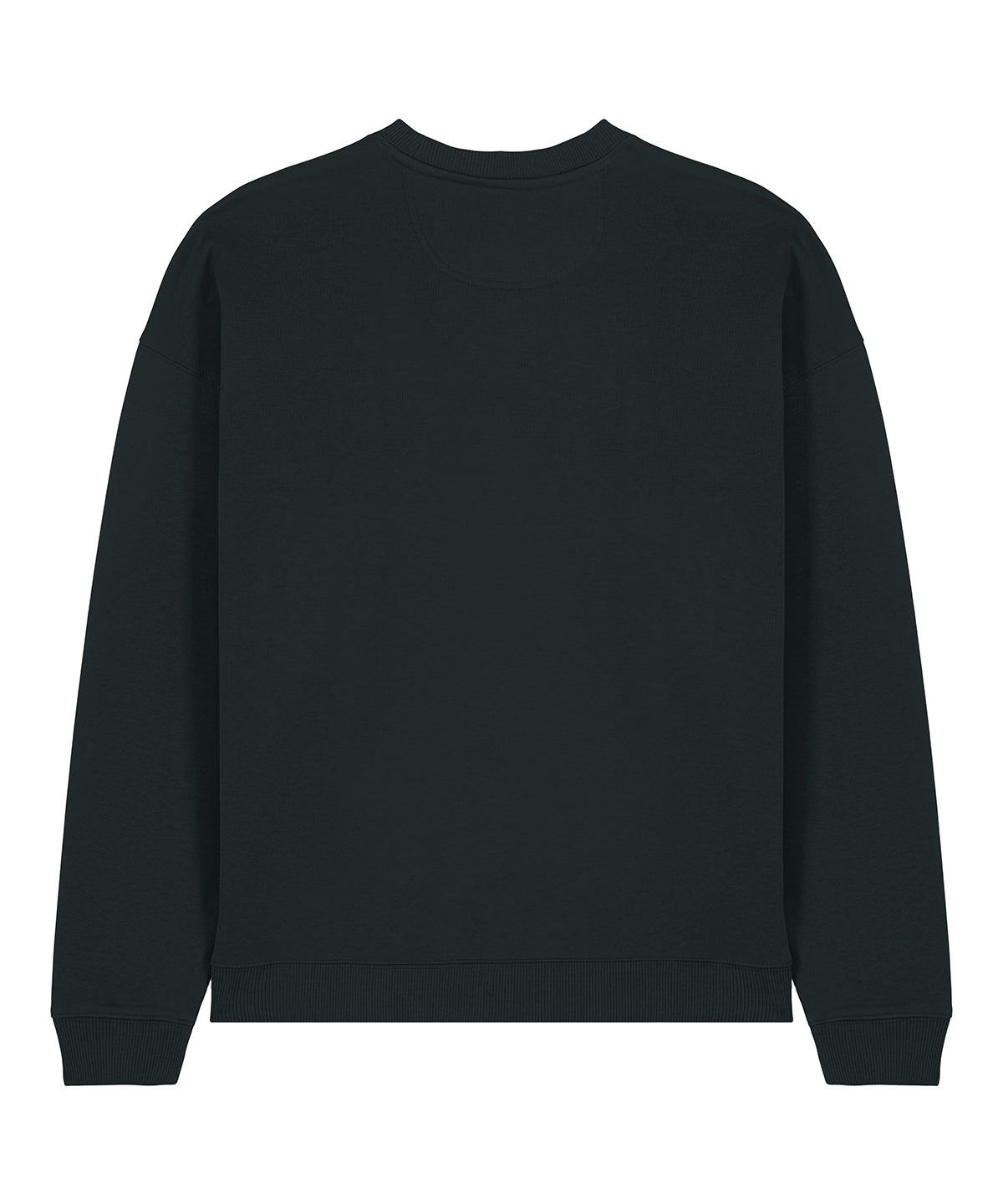 Radder 2.0 (STSU208)