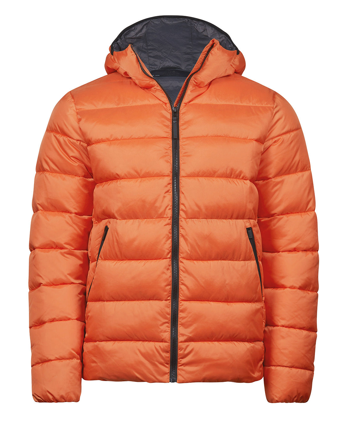 Lite hooded jacket (9646)