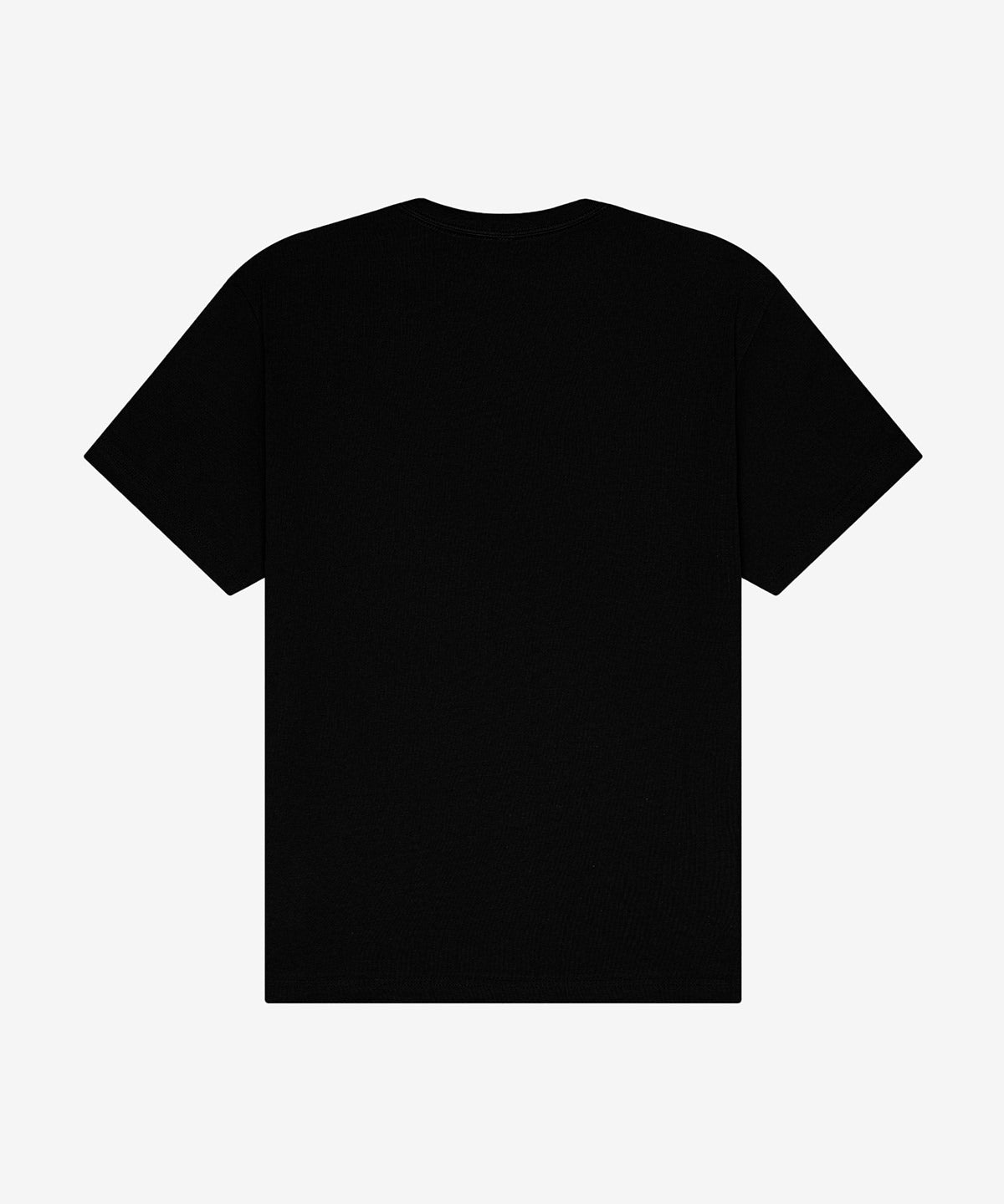 Unisex short sleeve heavy tee