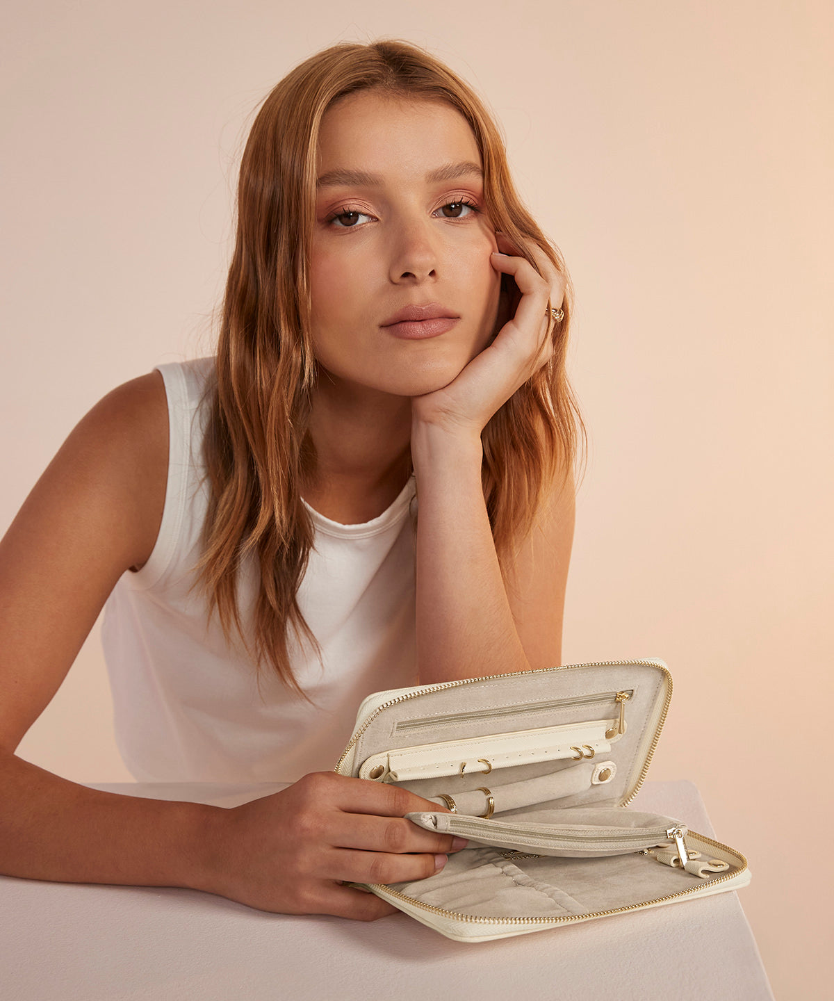 Boutique travel jewellery case