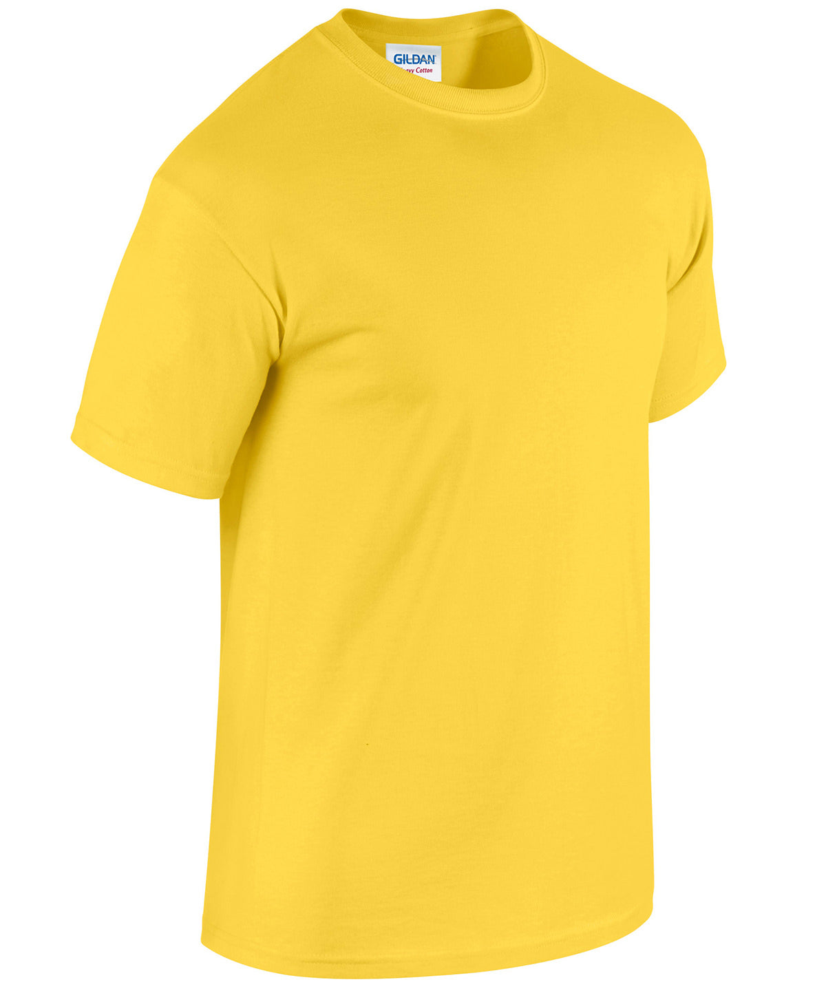 Heavy Cotton™ adult t-shirt