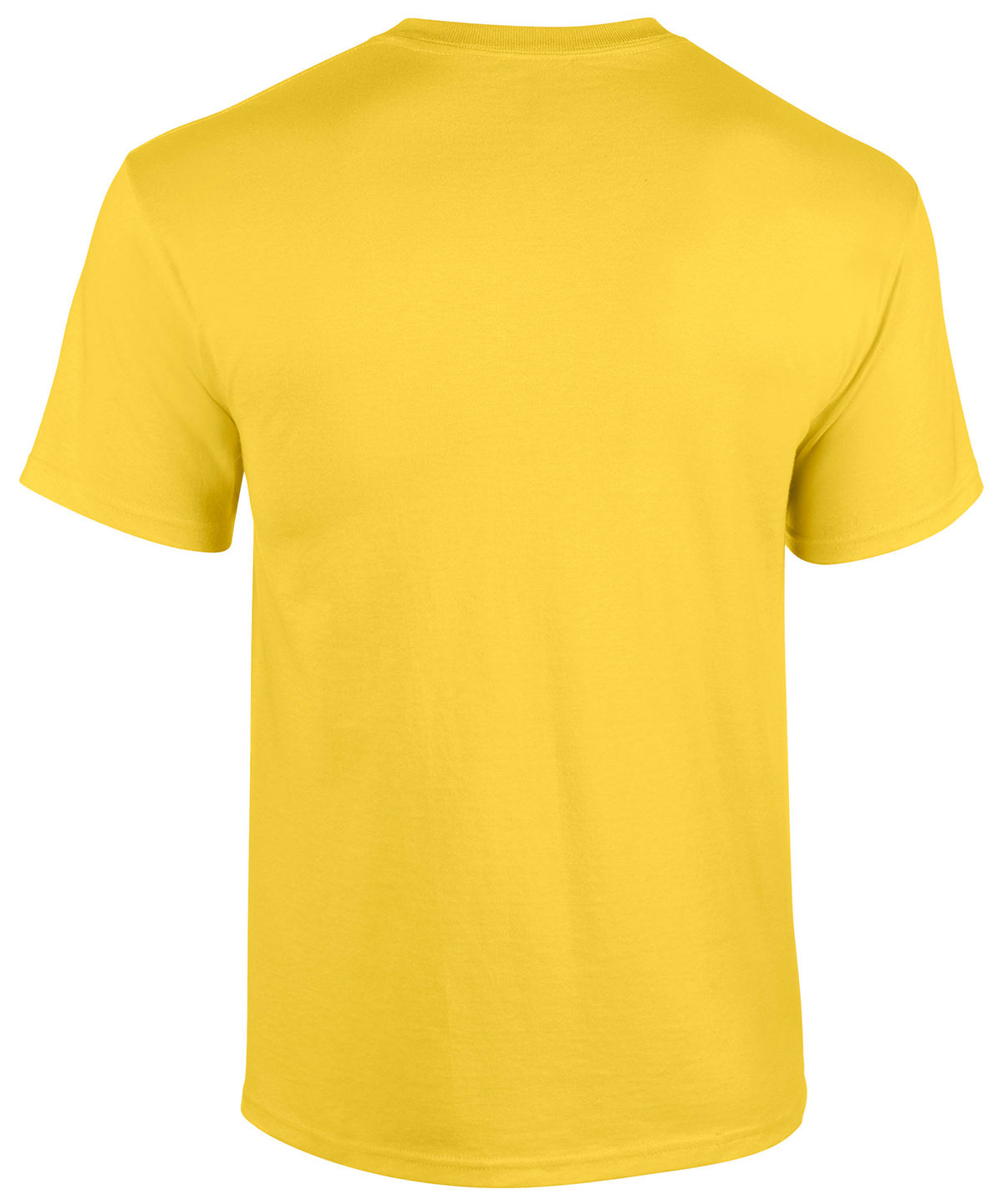 Heavy Cotton™ adult t-shirt