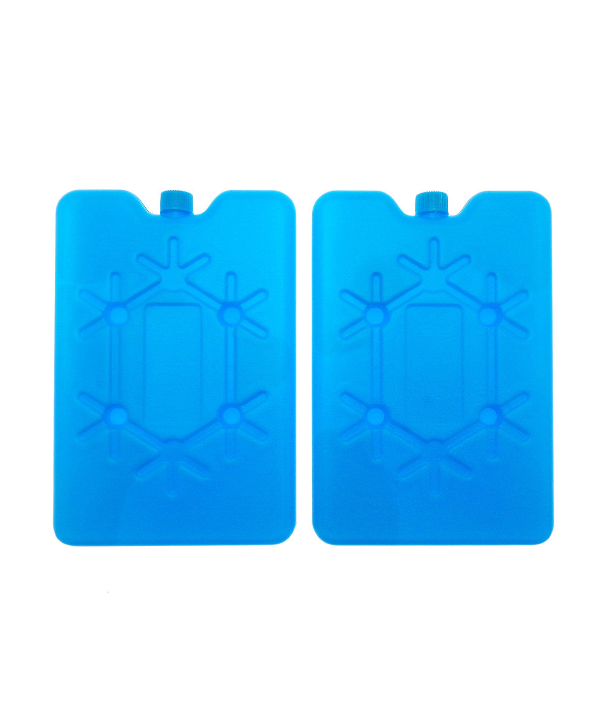 Large freezer blocks (2-pack)