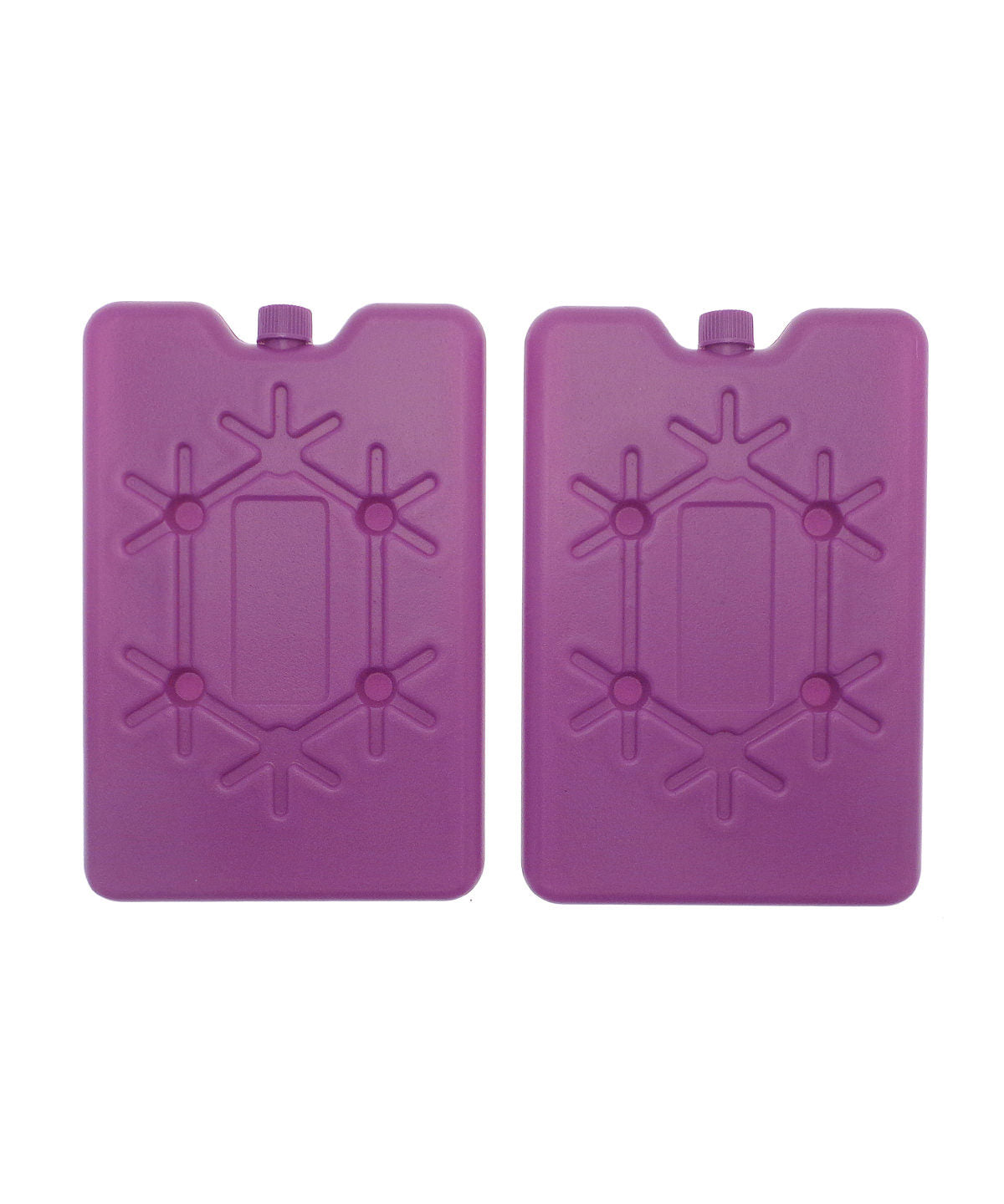 Large freezer blocks (2-pack)