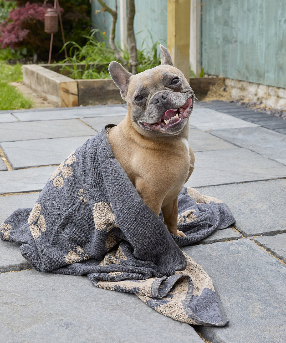 Jumbo terry jacquard dog towel