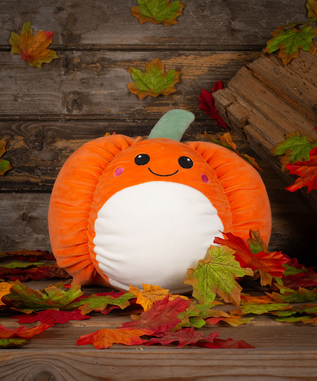 Squidgy’s by Mumbles