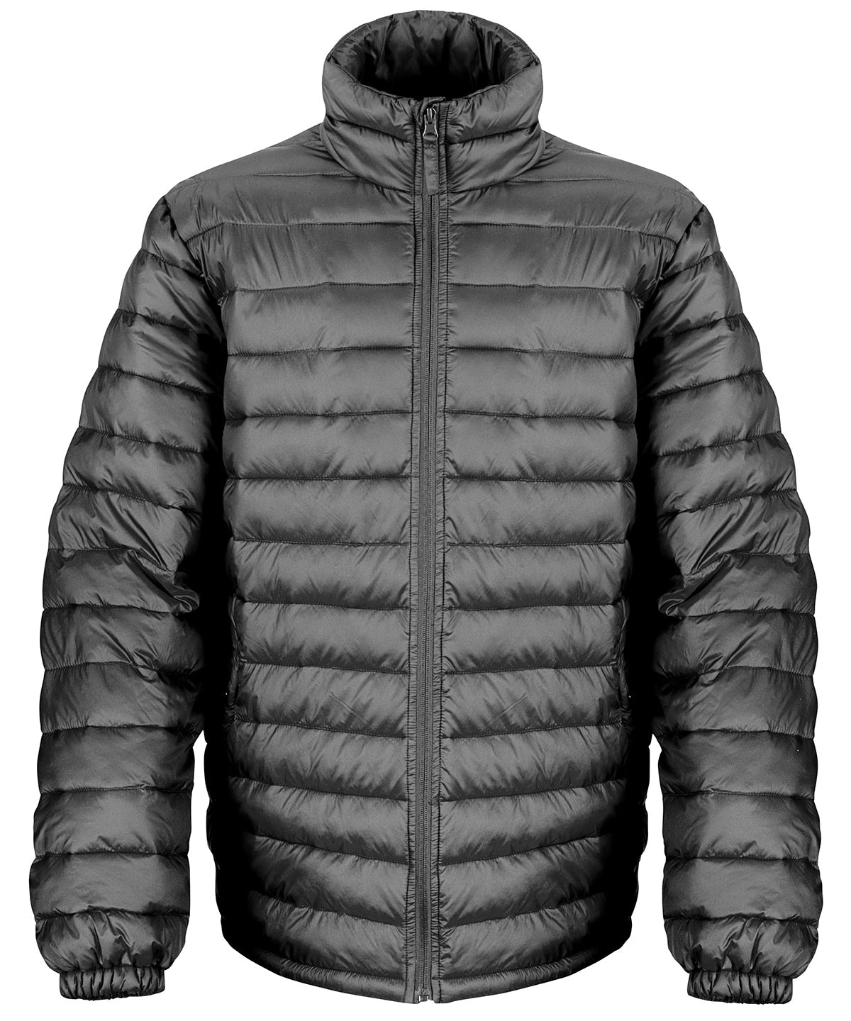 Ice bird padded jacket