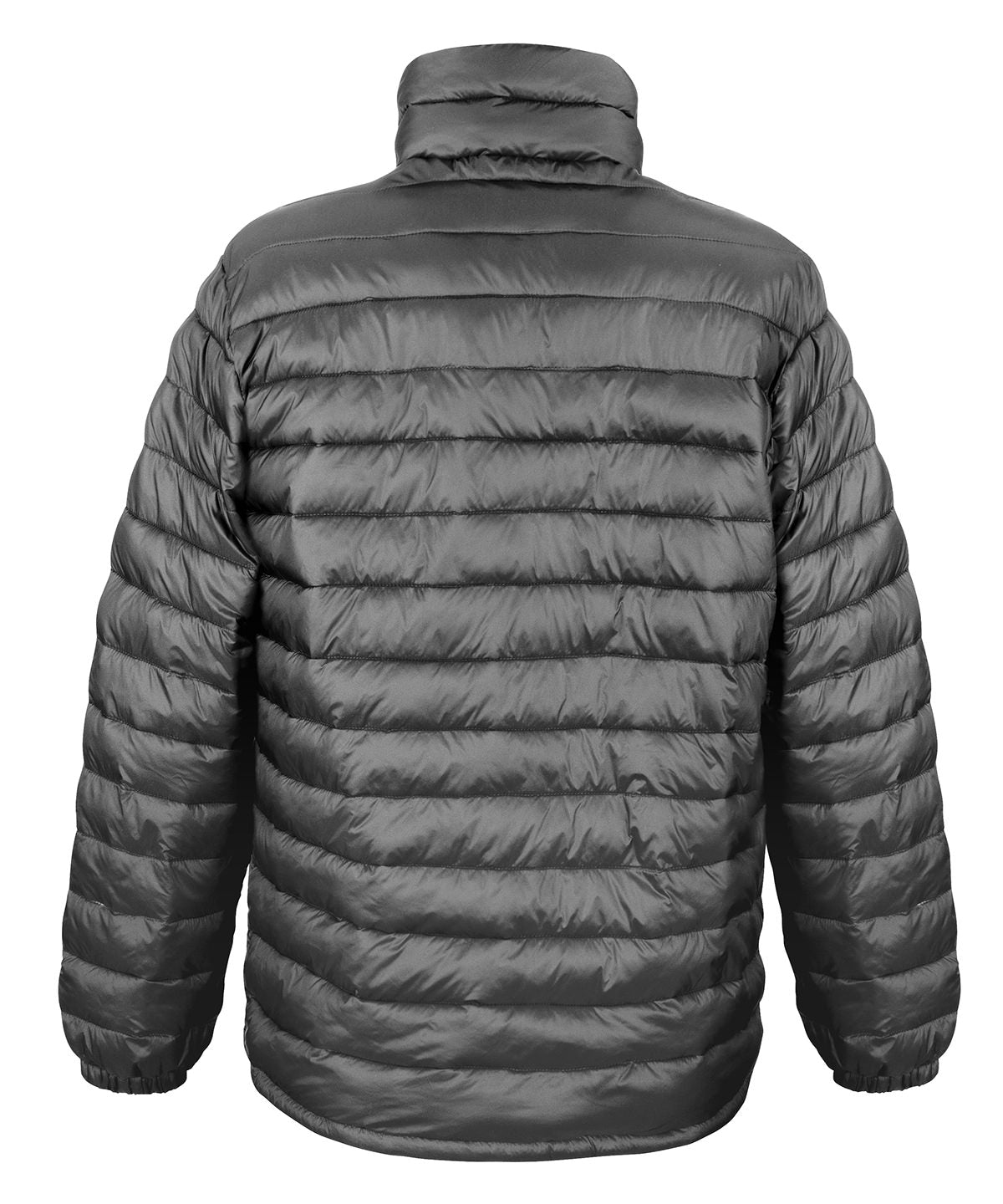 Ice bird padded jacket