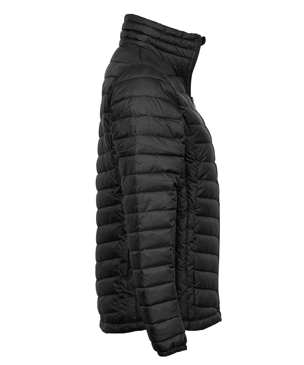 Women’s Zepelin jacket (9631)