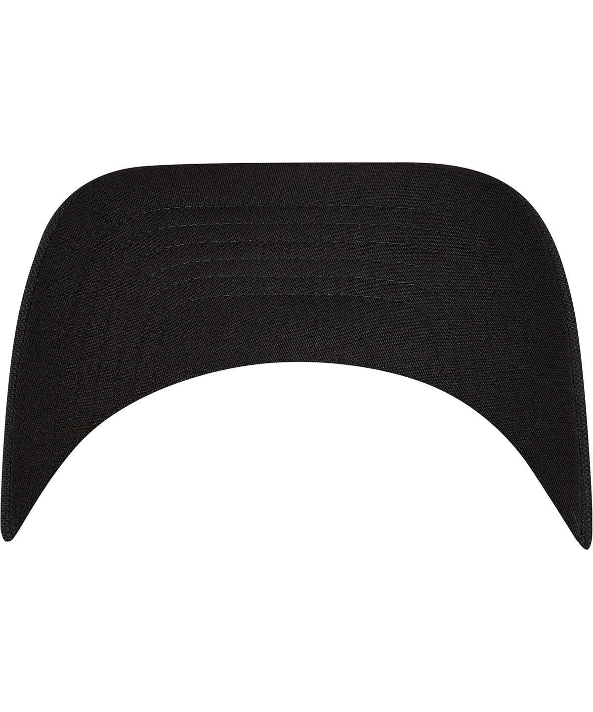 110 visor (8110)